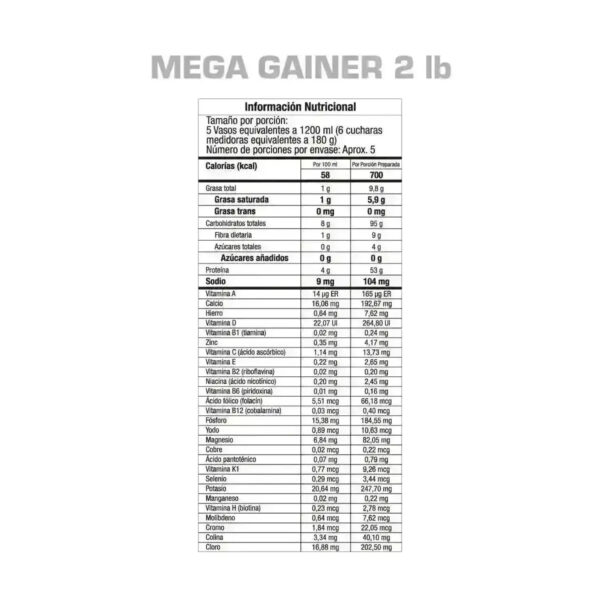 Alternative view of Mega Gainer GMN