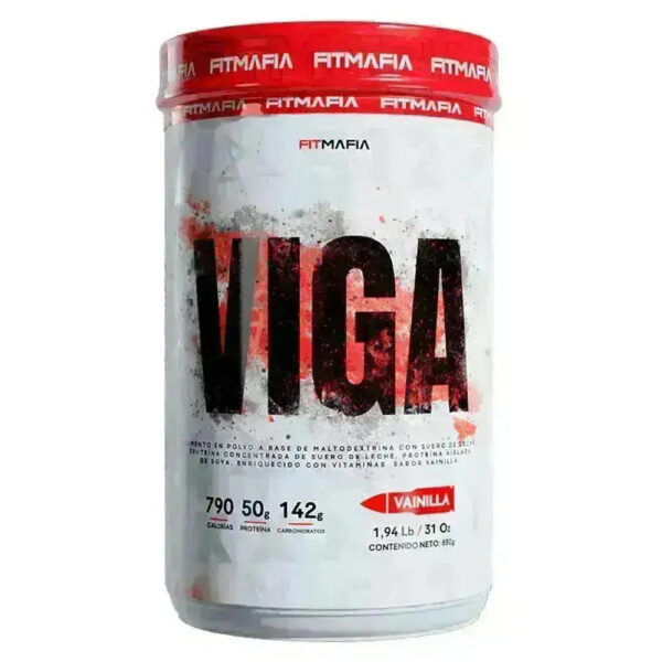 Viga Fitmafia